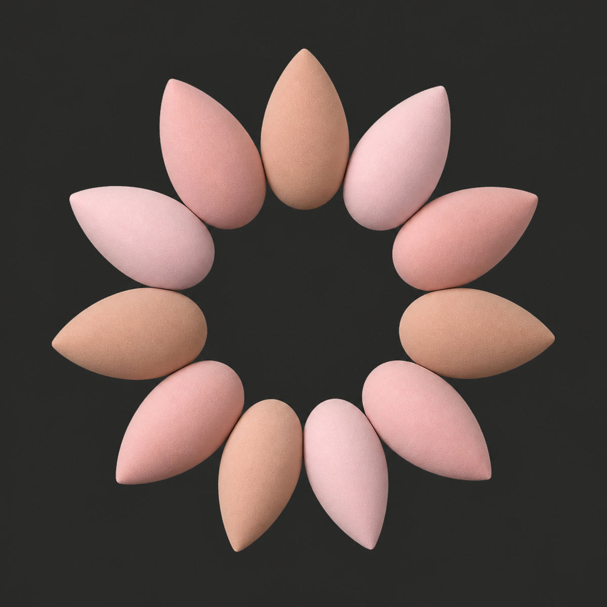 Makeup Sponge Set, alternate angle showing full device